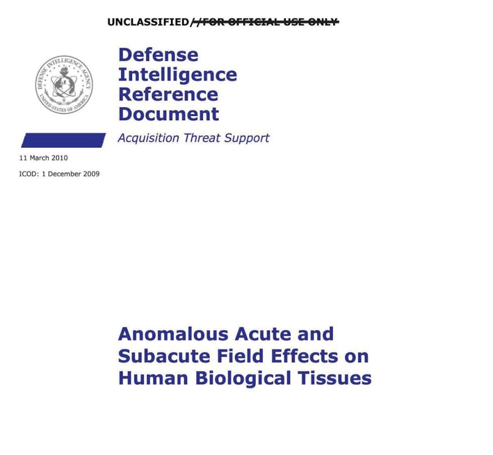 Capa com o selo da Agência de Inteligência de Defesa, o título Defense Intelligence Reference Document e o nome do relatório em azul.