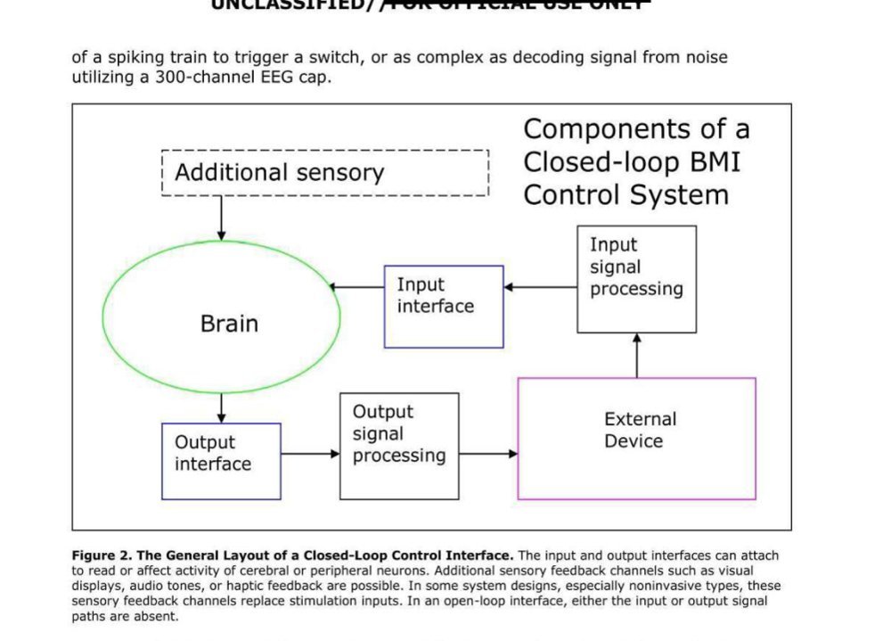 Diagrama de blocos com uma elipse verde marcada Brain ligada por setas a caixas de interface, processamento de sinais e dispositivo externo.