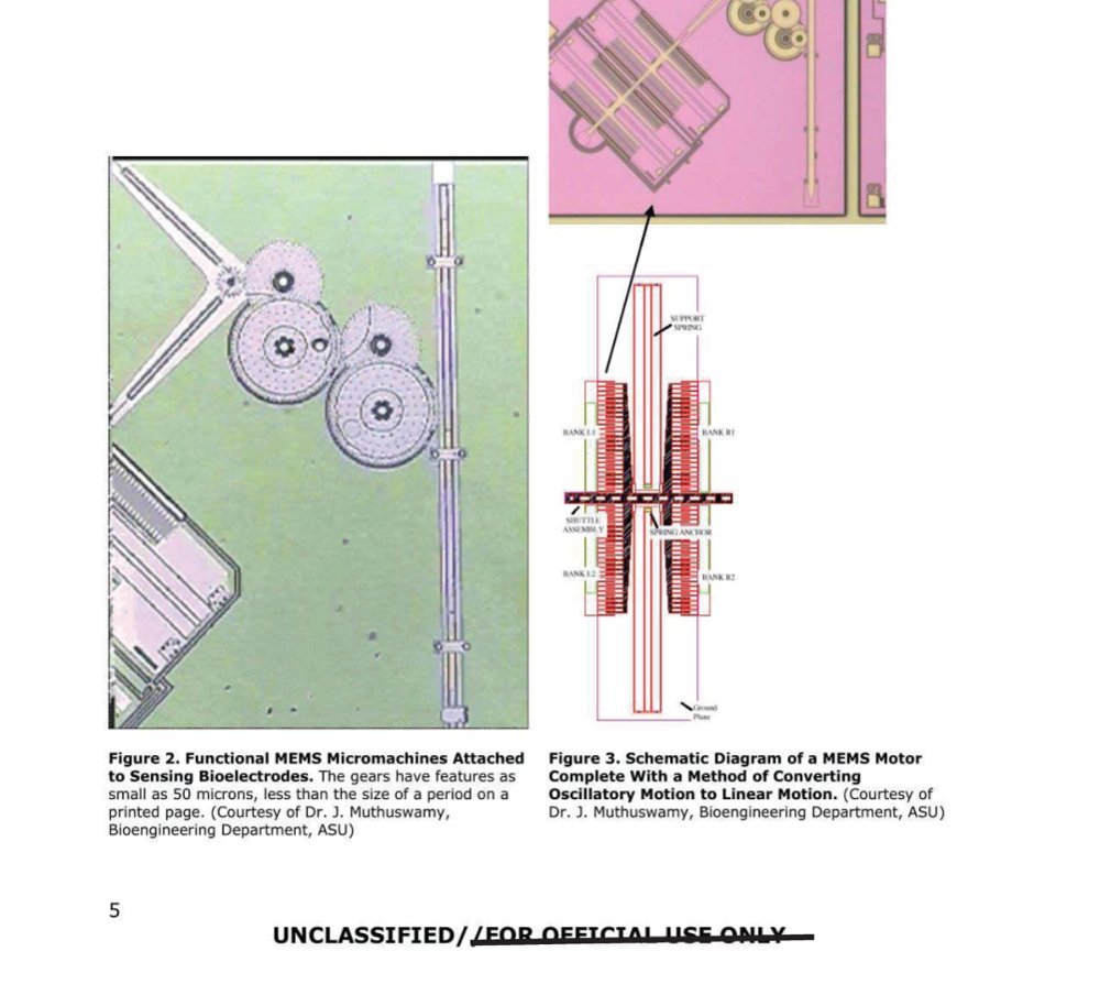 À esquerda, imagem de microscópio com engrenagens circulares sobre fundo verde; à direita, esquema vertical com pentes vermelhos e trilho.