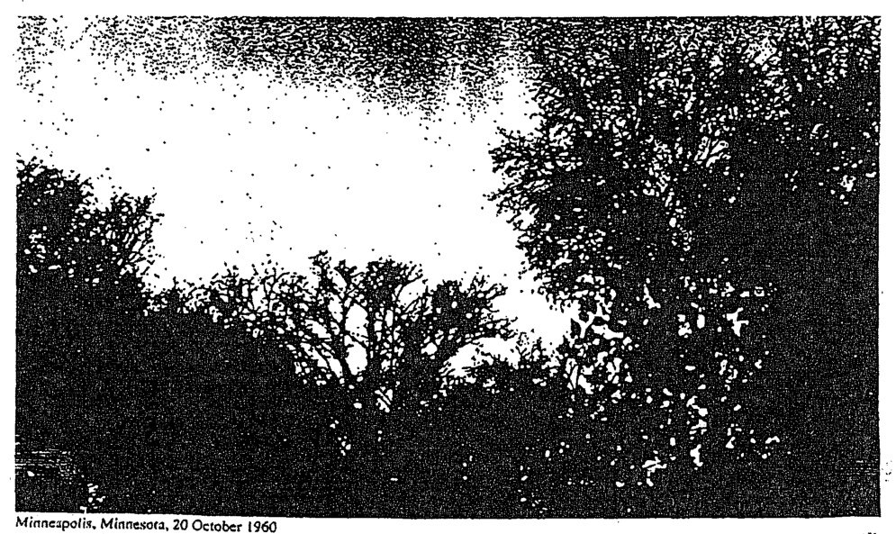 Foto em preto e branco muito contrastada de árvores sob céu claro, com manchas escuras no alto; legenda Minneapolis, Minnesota, 20 October 1960.