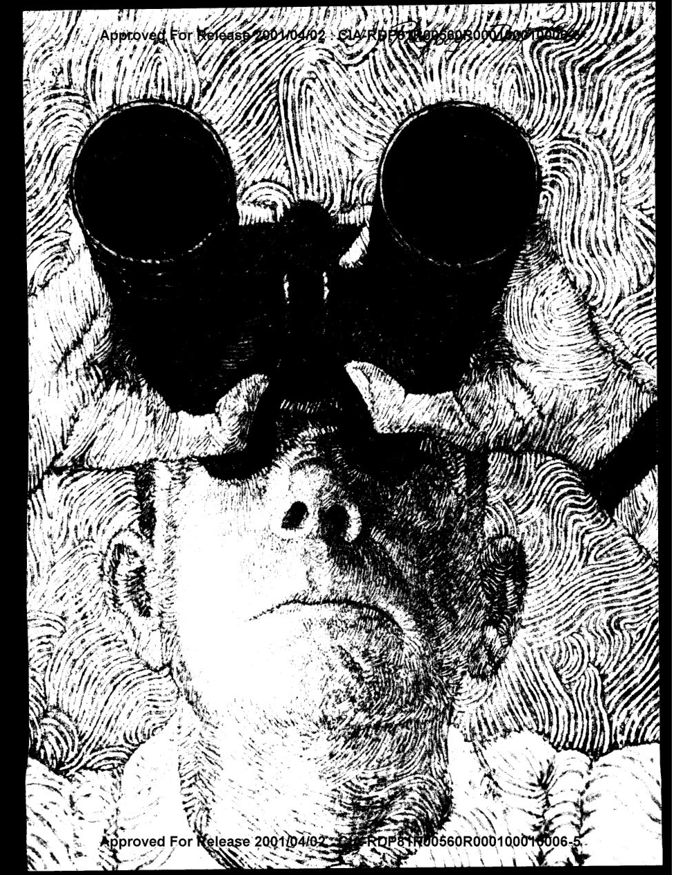 Desenho em preto e branco de um homem de rosto voltado para cima segurando binóculos grandes diante dos olhos