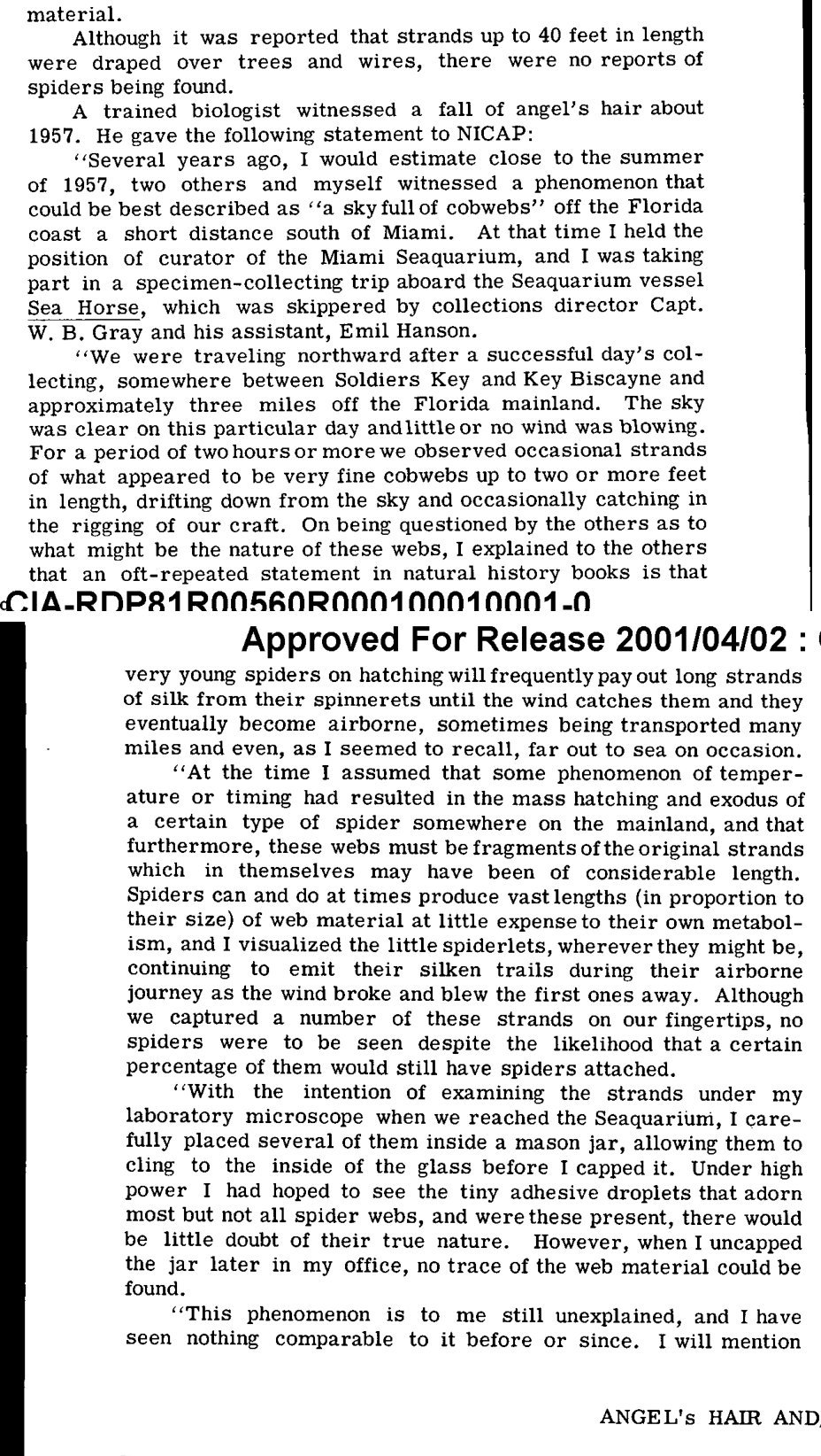 Texto datilografado sobre cabelo de anjo e a declaração de Craig Phillips