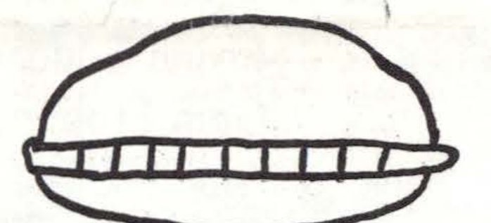 Desenho a traço de um objeto oval com uma faixa horizontal no meio dividida em pequenos retângulos.