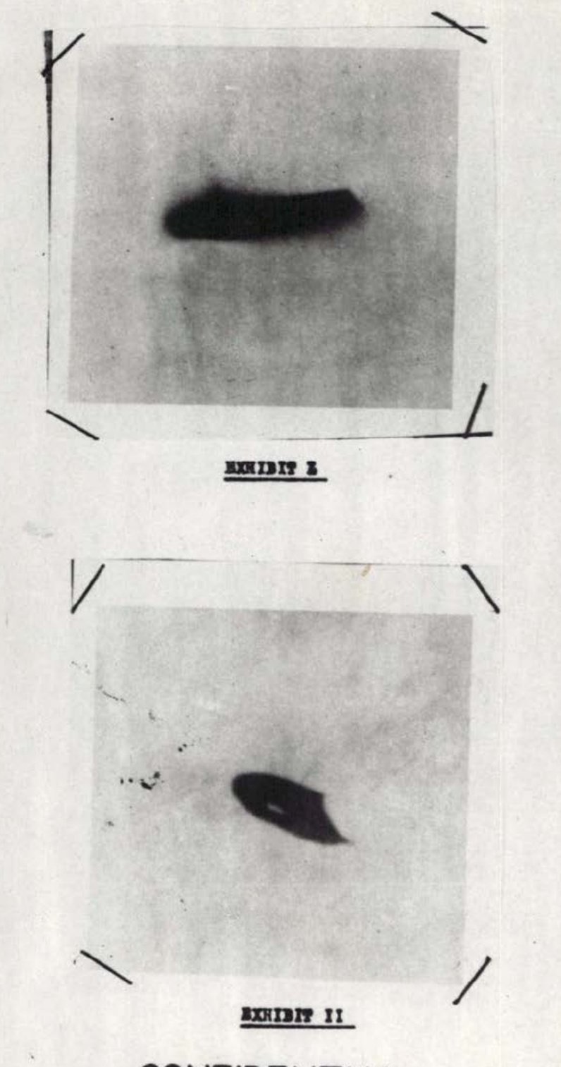 Duas fotografias granuladas em preto e branco, uma sobre a outra, cada uma mostrando uma forma escura contra o céu claro.